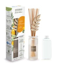 Ambre et Baume Duftbouquet von Esteban