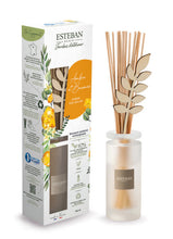 Ambre et Baume Duftbouquet von Esteban