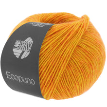 ECOPUNO