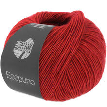 ECOPUNO