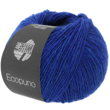 ECOPUNO