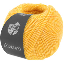 ECOPUNO